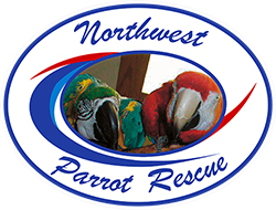 NW Parrot Rescue Logo