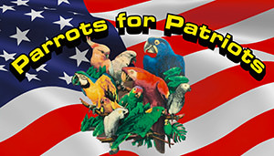 Parrots for Patriots