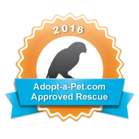 Adopt A Pet 2016