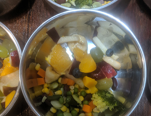 Two Bean Veggie & Fruit Salad